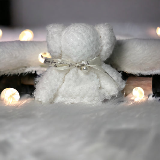 Towel teddy