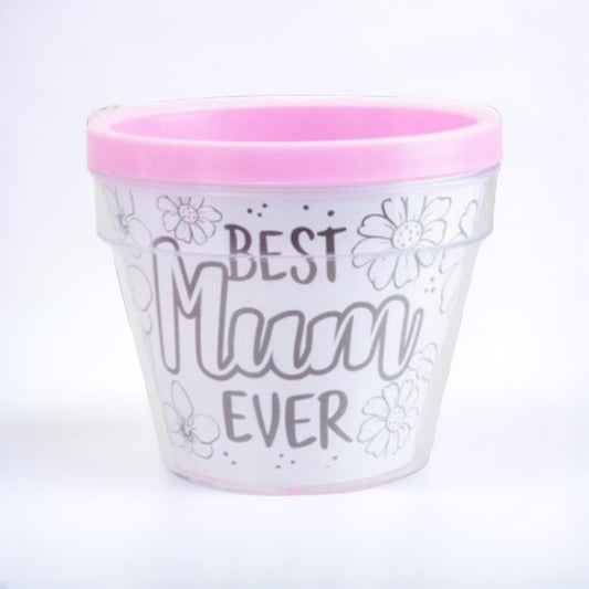 Colour your own plant pot (mothers day)